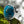 Load image into Gallery viewer, Nishapur Persian Turquoise Sterling Silver Ring