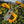 Load image into Gallery viewer, Engraved Flower Necklace