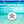 Load image into Gallery viewer, Sand Dollar Sterling Silver Pendant Necklace