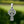 Load image into Gallery viewer, Small Celtic Sterling Silver Cross Necklace