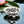 Load image into Gallery viewer, Devotion Lotus Sterling Silver Ring