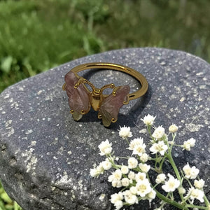 The Metamorphosis Ring