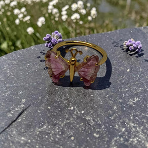 The Metamorphosis Ring
