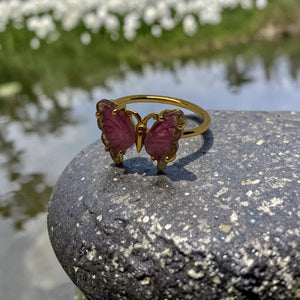 The Metamorphosis Ring
