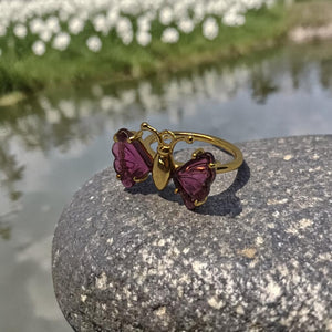 The Metamorphosis Ring