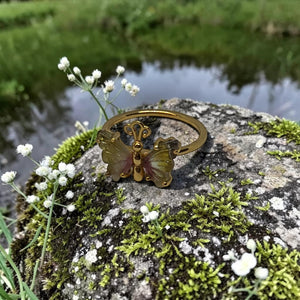 The Metamorphosis Ring