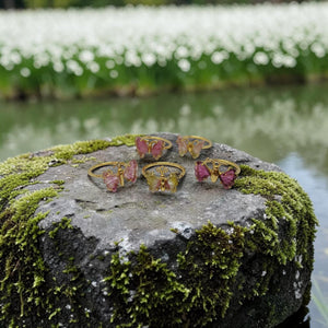 The Metamorphosis Ring