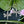 Little Dragonflies Sterling Silver Earrings