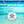 Sand Dollar Sterling Silver Pendant Necklace