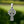 Small Celtic Sterling Silver Cross Necklace