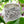 Pressed Leaf Sterling Silver Ring