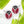 Ladybug Sterling Silver Post Earrings