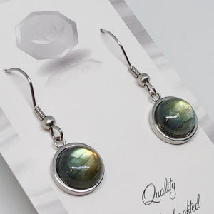 Labradorite Round Earrings